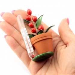 Czech studio Art Glass lampwork miniature red berry flower plant pot thermometer