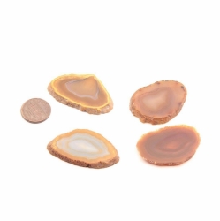 Lot (4) natural semi precious agate slices