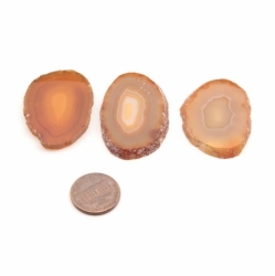 Lot (3) natural semi precious agate slices