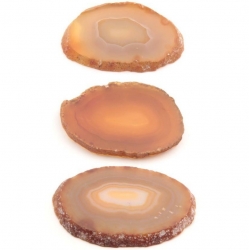 Lot (3) natural semi precious agate slices