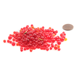 195 Czech vintage transparent ruby red round hand pressed glass beads