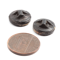 Lot (2) Antique Victorian Czech hand painted gold gilt black flower glass buttons 13mm