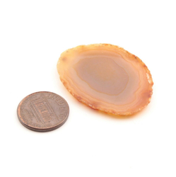 Natural semi precious agate slice 41mm