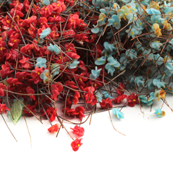 Lot (1900) Vintage Czech micro lampwork turquoise blue and red bicolor flower headpin glass beads
