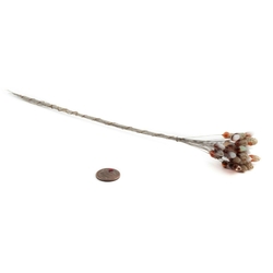 Lot (34) Czech lampwork glass bicolor flower craft headpin berry stem beads