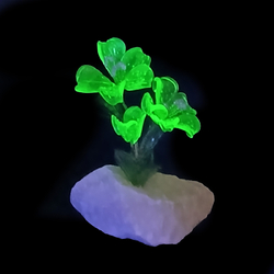 Czech hand made Lampwork Uranium glass Daisy plant flowers on stone Art ornament 