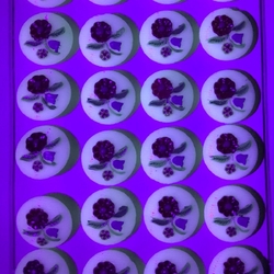 Card (24) Czech vintage hand painted flower bouquet uranium glass buttons 14mm