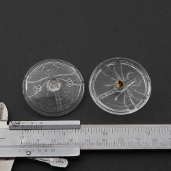 Lot (2) large Czech Vintage clear dragonfly glass buttons 40mm