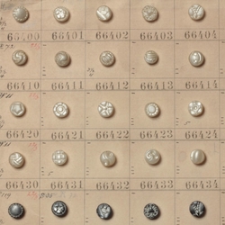 1907 Sample card (149) Czech antique pearl and pewter lustre dimi glass buttons