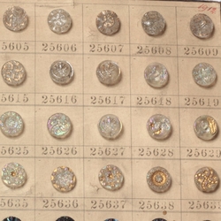 1912 Sample card (146) Czech antique glass buttons