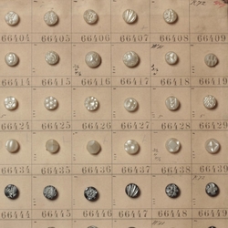 1907 Sample card (149) Czech antique pearl and pewter lustre dimi glass buttons