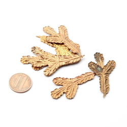 Lot (6) Czech Deco Vintage fir branch nature pin brooch jewelry stampings
