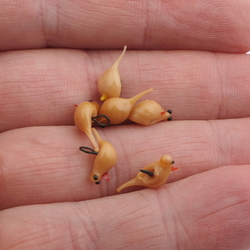 Lot (6) Czech antique micro lampwork beige glass bird pendant beads