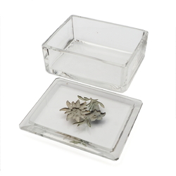 Art Deco Czech intaglio hand painted Gentian Edelweiss flowers crystal glass box Heinrich Hoffmann