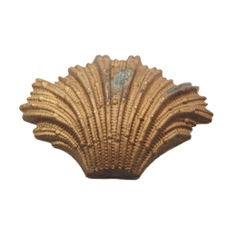 Vintage Deco gold tone brass metal shell stamping 65mm