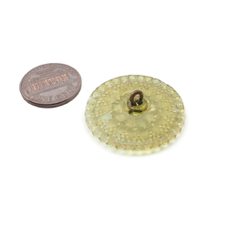 SPARKLING 24 CT GOLD  LION 1 Czech Glass Button #B401-32 mm or 1-1/4" 