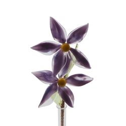 Czech lampwork glass purple bicolor flower stem vase ornament
