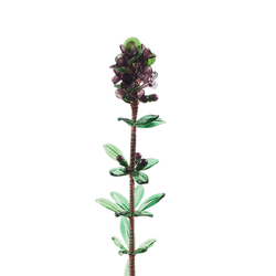 X Large Czech lampwork Art glass Thyme Herb Large Wildflower stem ornament
