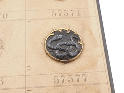 Sample card (48) Czech antique black glass buttons geometric floral snake