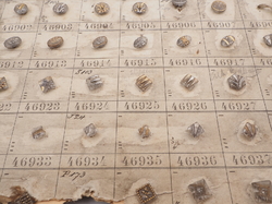 Sample card (147) Czech antique glass buttons gold gilt lustre crystal dimi