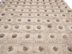 Sample card (147) Czech antique glass buttons gold gilt lustre crystal dimi
