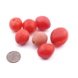 Lot (7) Czech 1900's antique large oval red fruit glass beads
