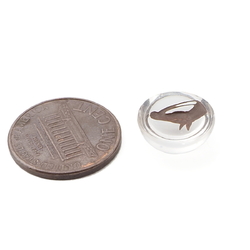 Czech antique intaglio horse head clear glass cabochon 13mm