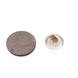 Czech antique intaglio dog clear glass cabochon 12mm