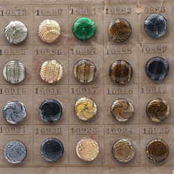 Sample Card (24) antique Victorian Czech rosette shank glass buttons 14mm