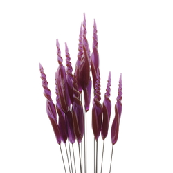 Czech lampwork glass saphiret flower craft earring headpin glass bead (1 bead)