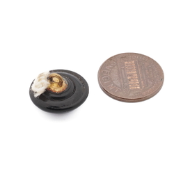 Antique Czech micro lampwork foil dog under glass button 17mm
