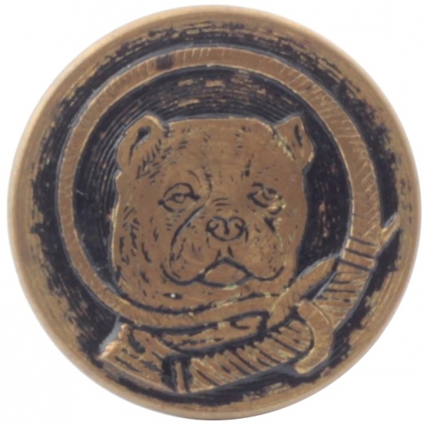 23mm antique Victorian 2 part pictorial bulldog brass metal sport button