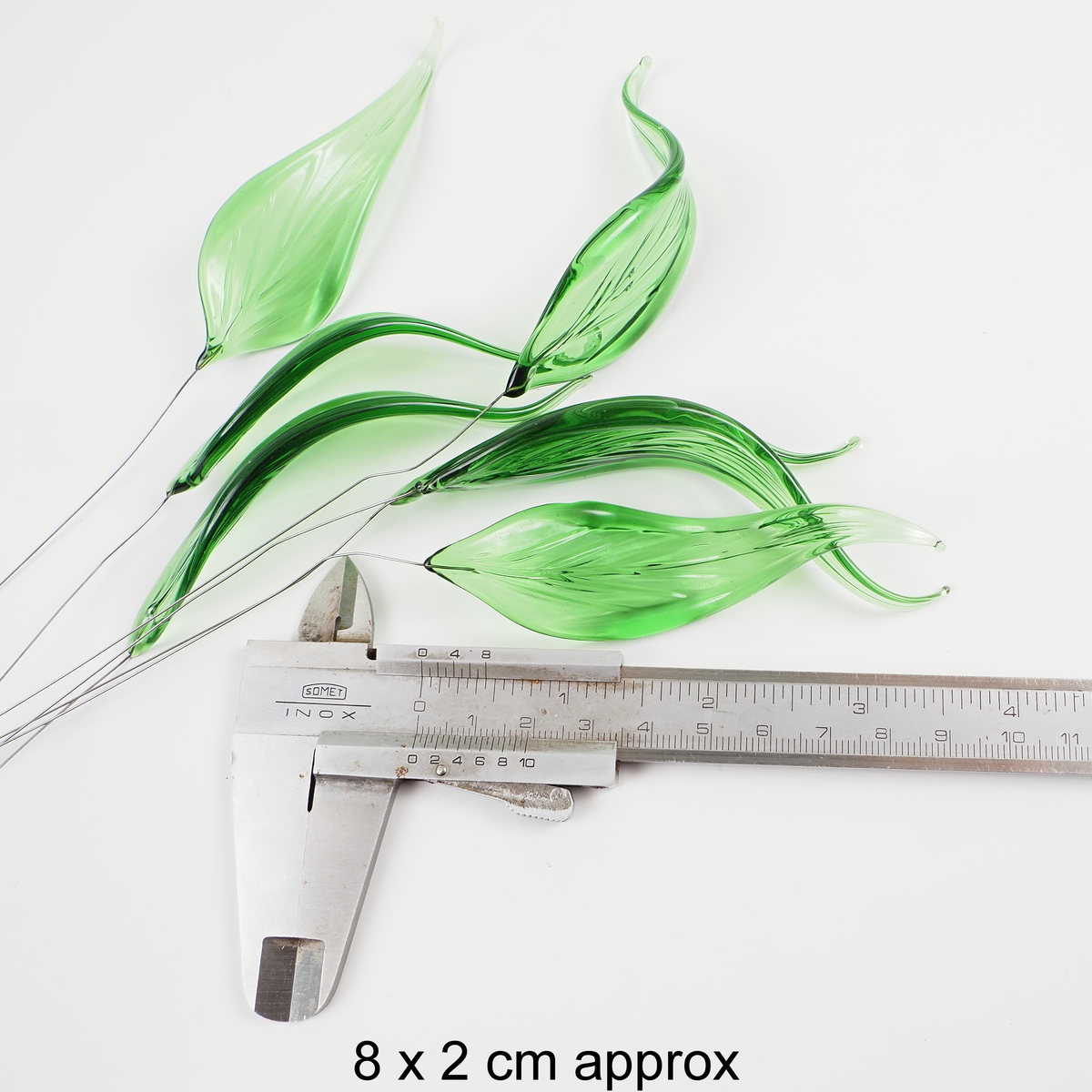 Deposit liting for 30 + 10 Large leaves Valentina 
